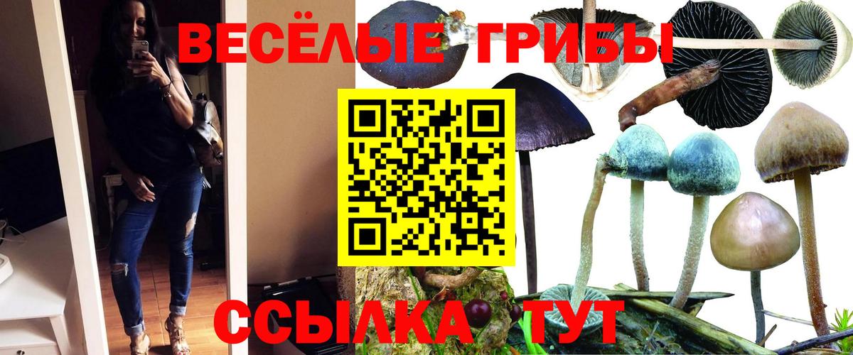 Псилоцибиновые грибы мицелий Одинцово